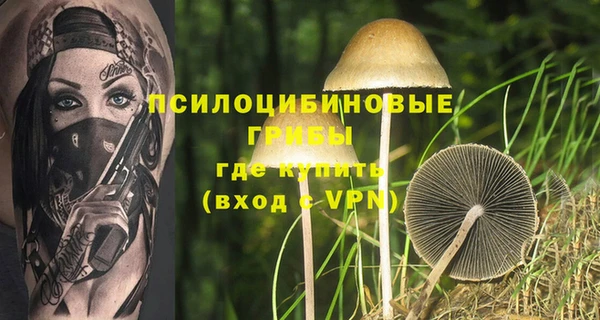 мескалин Козельск