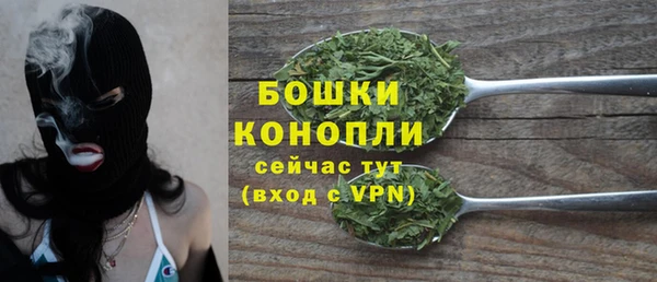 спайс Касимов