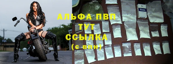 спайс Касимов