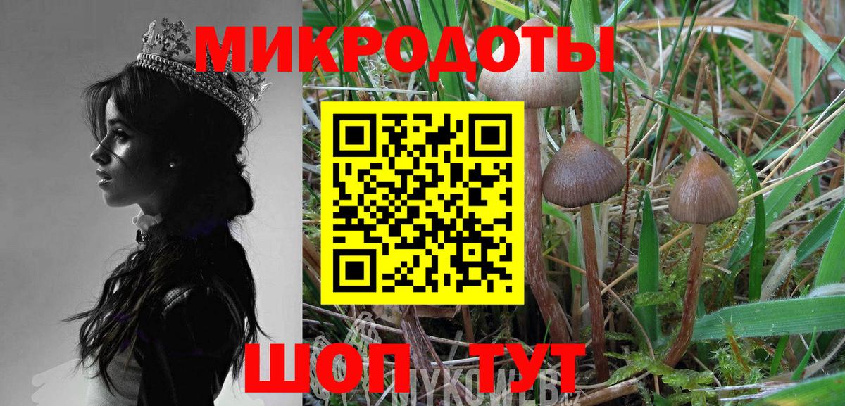 Куйбышев  Псилоцибиновые грибы мицелий  Вход с VPN 