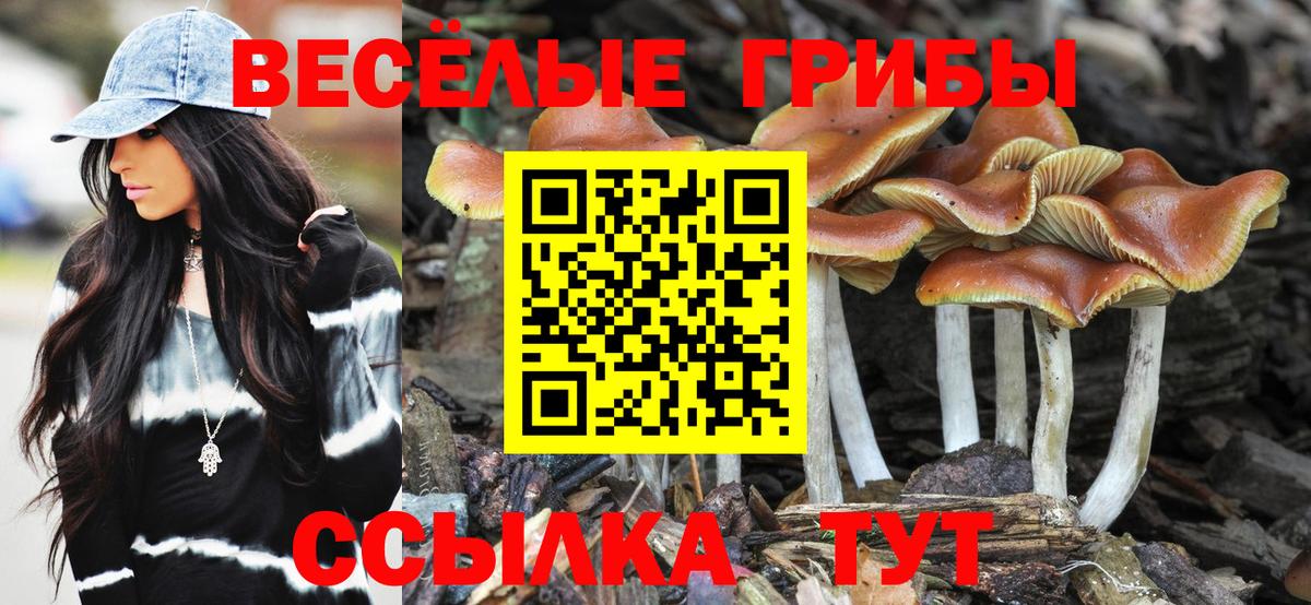 Галлюциногенные грибы MAGIC MUSHROOMS Куйбышев